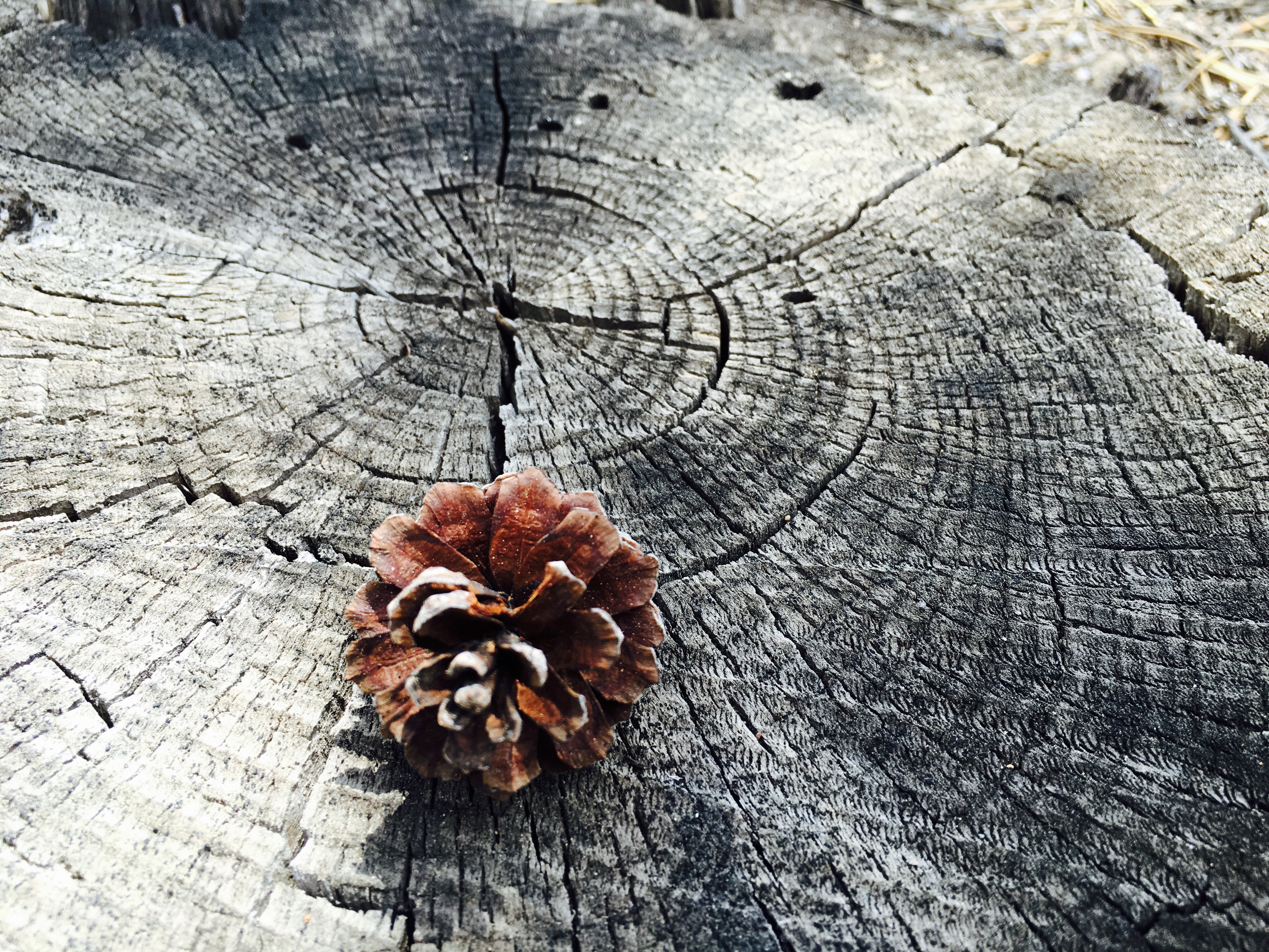 Good Web Help is Hard to Find