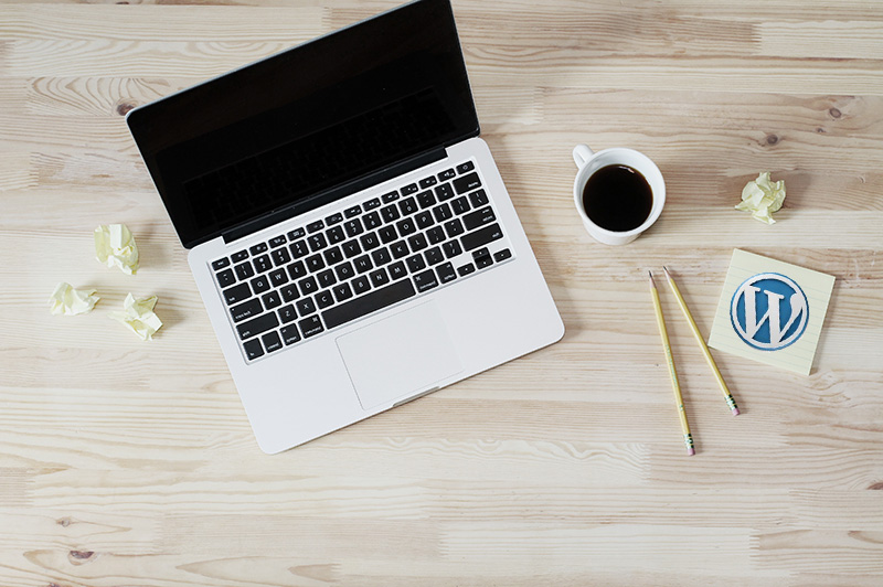 7 Fun Facts About WordPress