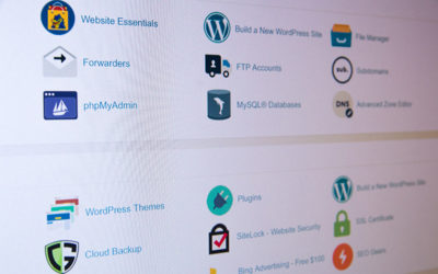 Why Your Website Host Matters for SEO