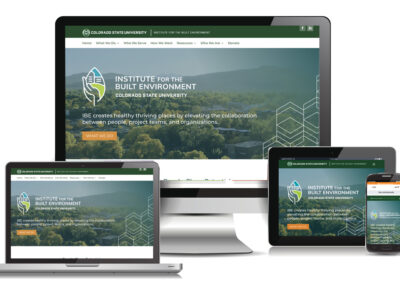 Institute for the Built Environment